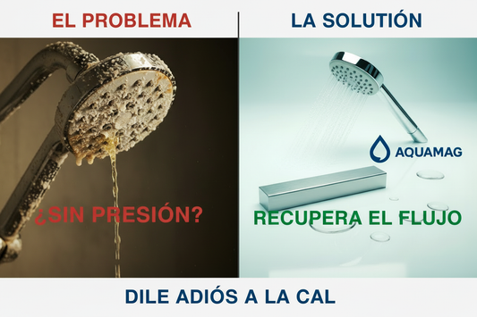 ¿Regadera con Poca Presión? El “Enemigo Silencioso” que Está Tapando tu Baño en México